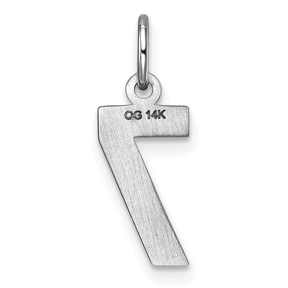14k White Gold, Varsity Collection, Small D/C Pendant, Number 7 - Picture 3 of 5